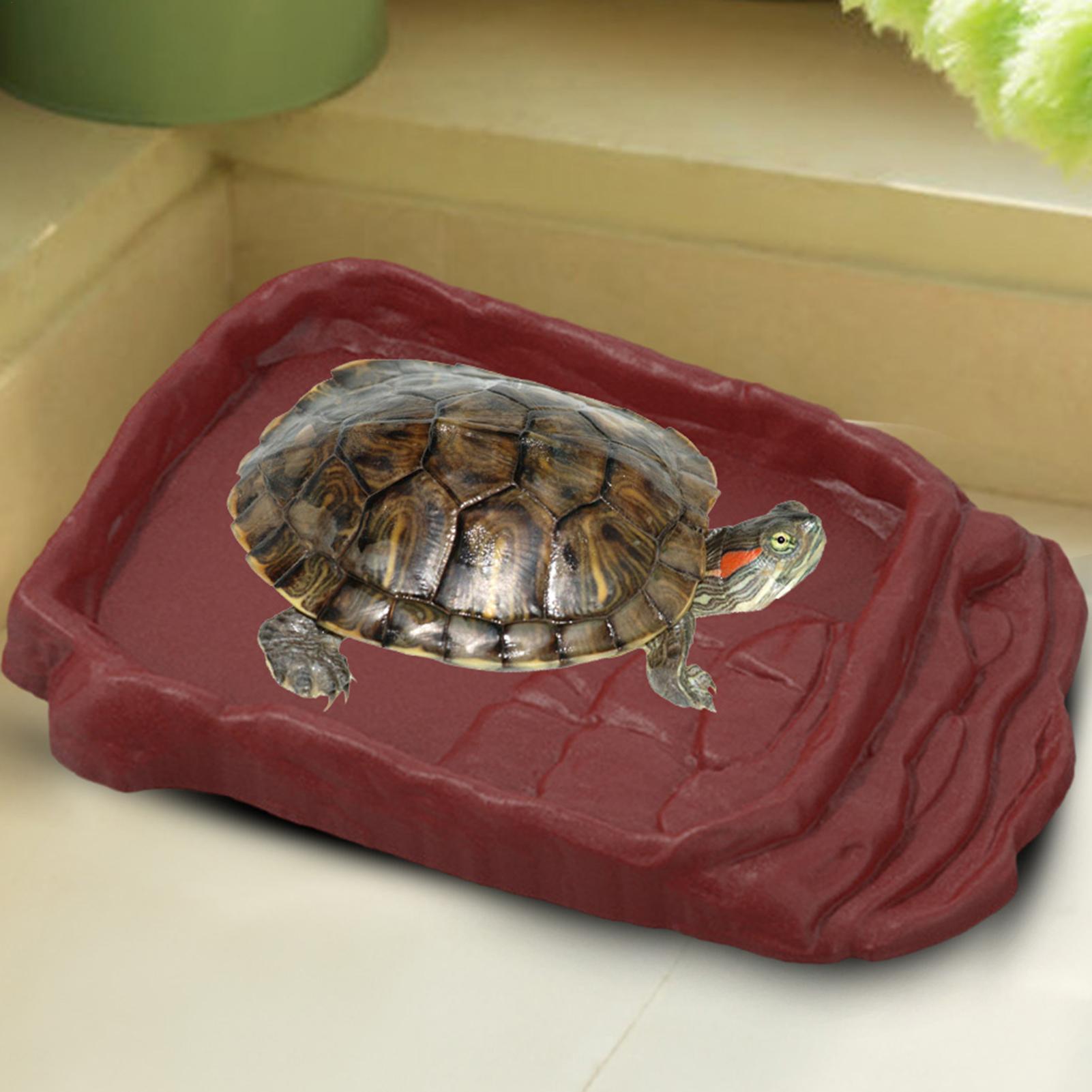 Water Dish Reptile - Schildpad Badkuip Waterschotel Antislip Ladders Reptiel