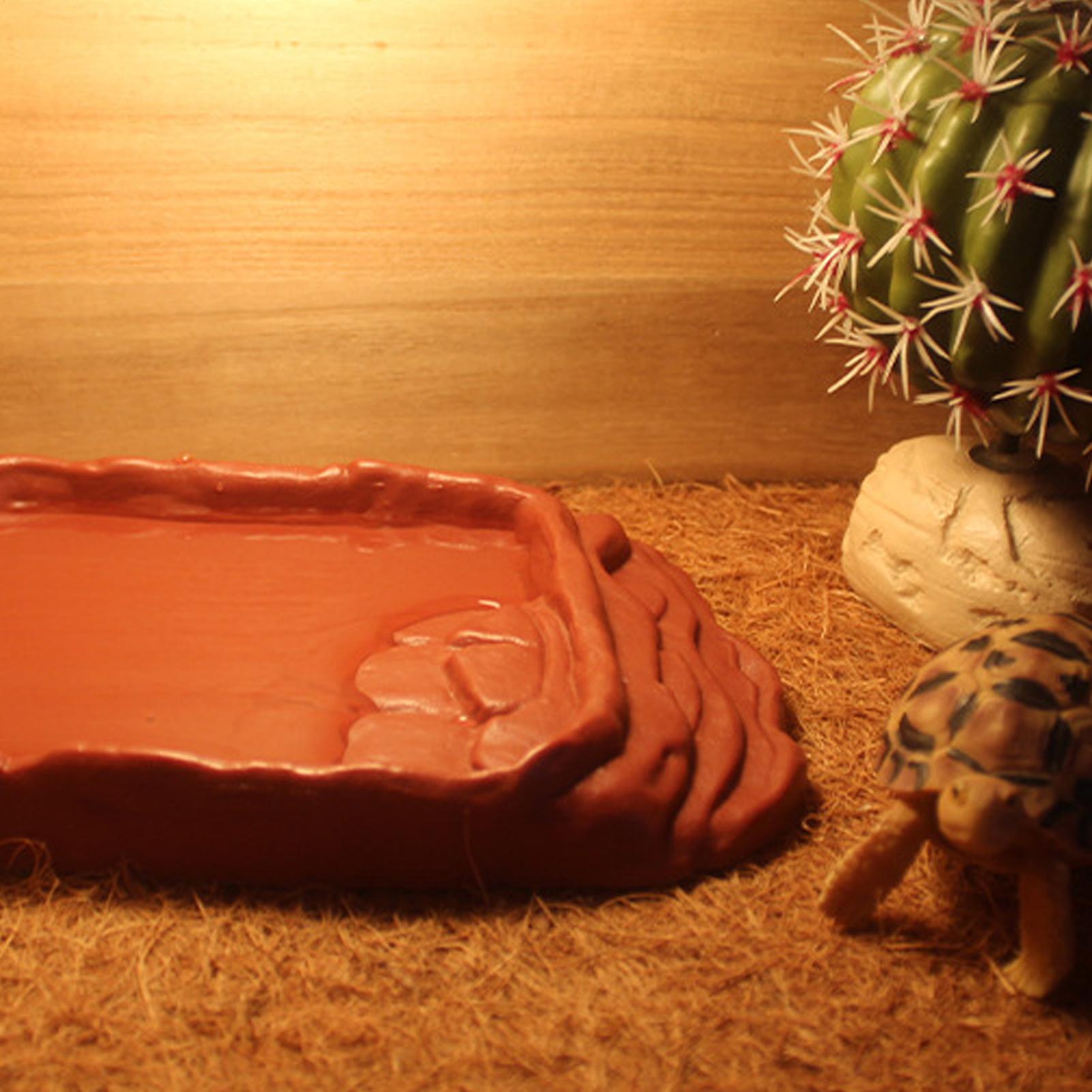 Schildpad Badkuip Waterschotel - Water Dish Reptile recensie en prijs