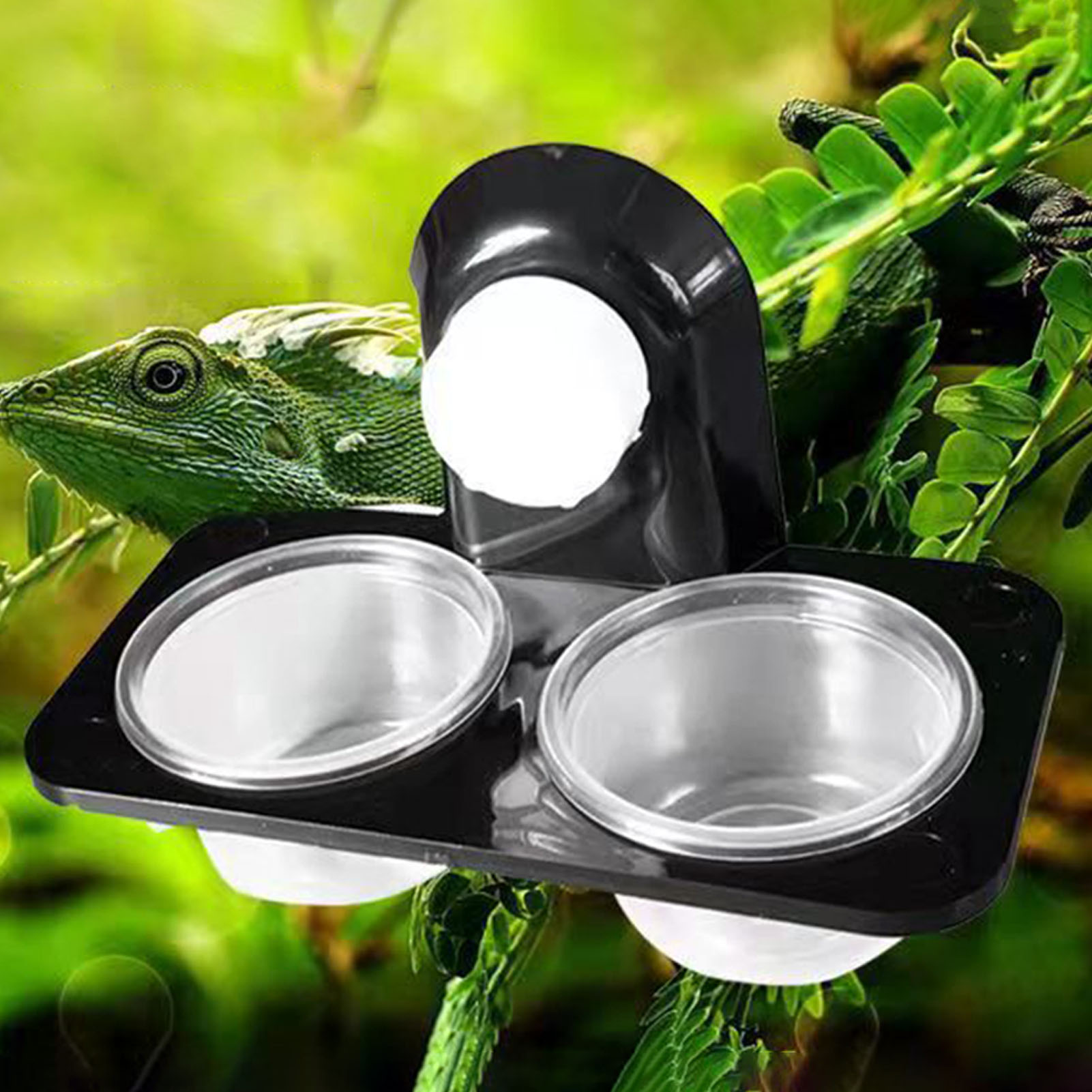 Kuifgekko Voedende Richel Rept - Water Dish Reptile recensie en prijs